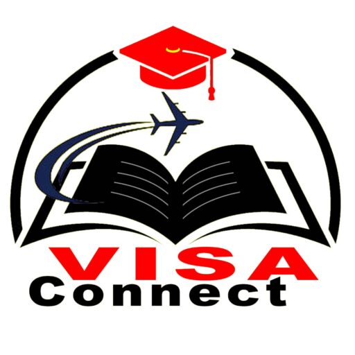 Visa Connect